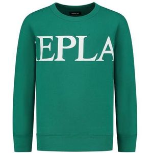 Replay Jongens sweatshirt loose fit, 430 Sport Green, 10 Jaar
