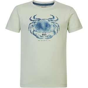 Noppies Kids Jongens Boys Tee Riverton T-shirt met korte mouwen, Sea Foam-P492, 122, Sea Foam - P492, 122 cm
