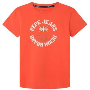 Pepe Jeans Ronal T-shirt voor kinderen, oranje (burnt orange), 12 jaar, oranje (gebrande oranje), 12 jaar