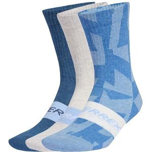 ADIDAS TERREX Sportsokken  blauw / grijs