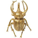 Kare Design wandsieraad Atlas Beetle goud, decoratief object kever, wanddecoratie kever goud, (H/B/D) 35,5 x 26 x 15 cm