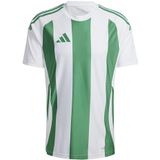 adidas Hombre STRIPED 24 JERSEY, white/team green, S