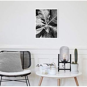 Homemania Afbeelding tropische natuur voor de woonkamer wit zwart van grenenhout 30 x 40 cm