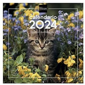 Finocam - Kalender 2024 wandafbeeldingen 30x30 om te schrijven januari 2024 - december 2024 (12 maanden) Spaanse katjes