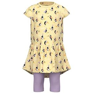 NAME IT Nmfvilone Capsl Dress Set H1 Jurk voor meisjes, Orchid Bloom/Aop: regenboog, 104 cm