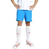 PUMA teamGOAL Korte broek