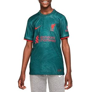 Nike Unisex seizoen 2022/23 officieel derde tricot kit tricot