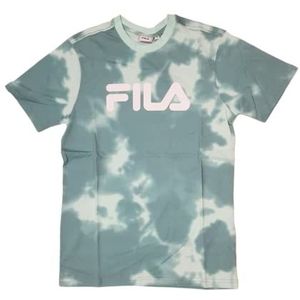 FILA Uniseks Barver AOP T-shirt, Beryl Green Floral Batic Aop, XL