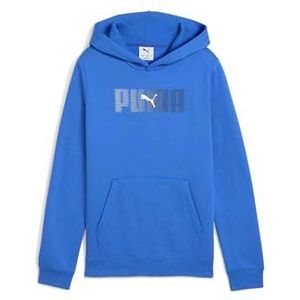 PUMA Sweatshirt  blauw / grijs / basaltgrijs