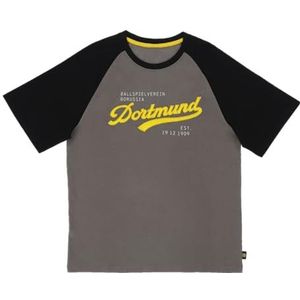 BVB, Borussia Dortmund T-shirt, Explorer, zwart-grijs met print op de voorkant, maat S, zwart, M