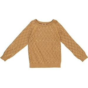 Müsli by Green Cotton Jongens Knit Raglan Pullover Sweater, bruin (cinnamon), 122 cm