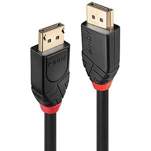Lindy 41078 DisplayPort kabel 10 m Zwart