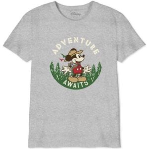 Disney T-shirt voor jongens, Grijs Melange, 12 Jaren