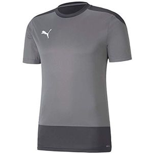 PUMA Herren, teamGOAL 23 Training Jersey Trainingstrikot, Steel Gray-Asphalt, XXL