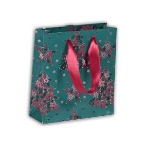 Clairefontaine 212888Cpack – een set van 5 kleine premium geschenkzakjes – formaat – 12 x 4,5 x 13,5 cm – 170 g – motief: dennenbomen, plantaardig op groene achtergrond – ideaal voor: parfum, boek,