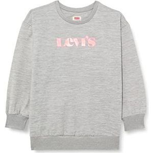 Levi's Lvg Oversized Crew Sweatshirt voor meisjes en meisjes, 10-16 jaar, Lichtgrijs, 16 jaar