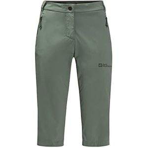 Jack Wolfskin Dames Activate Light 3/4-Lengte Broek Wandelen, Picknick Groen, 40, Picknick Groen, 66