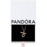 Pandora - T-bar Ketting - Goud - 14k Verguld Metaal