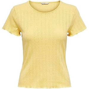 Only Onlcarlotta S/S Top Jrs Noos T-shirt voor dames, Zomerjurk, XL