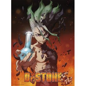 ABYstyle - Dr Stone - Poster - Verzonken (52 x 38 cm)