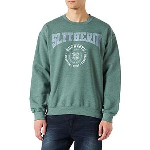 HARRY POTTER Sweatshirt voor heren, Groen, L/Tall