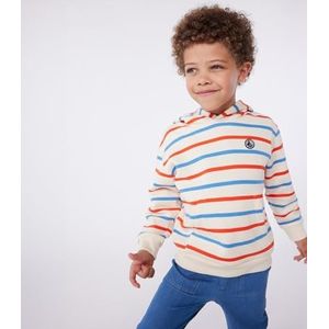 Petit Bateau Sweatshirt met capuchon voor kinderen en jongens, ecru/meerkleurig, 4 jaar