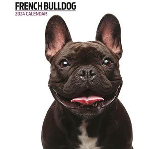 Franse Bulldog Moderne kalender 2024