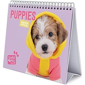 Grupo Erik CS22013Kalender 2022 Studio Pets Dogs - Bureaukalender 12 Maanden,Puppies