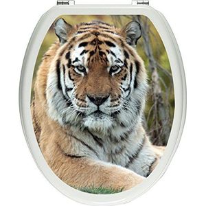 Pixxprint mooie tijger op weide als toiletdeksel stickers, WC, WC-deksel - Afmetingen: 32x40 cm, glanzend materiaal toiletdekselstickers, vinyl, kleurrijk, 40 x 32 x 0,02 cm