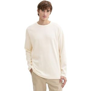 TOM TAILOR Denim T-shirt voor heren, 12906 - Wool White, M