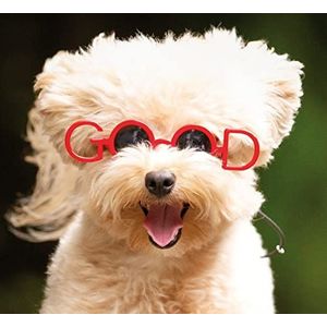 Kruisbril voor honden, hondenzonnebril met verstelbaar trekkoord en rubberen riem, bril voor huisdieren Goede fantasie Het meet 8,5 cm