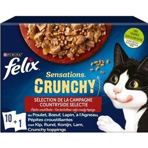 PURINA Felix Crunchy vleesvoer, kat, 10 x 85 g