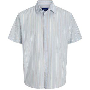 JACK & JONES Jorjoshua Canggu Stripe Shirt Ss Pls voor heren, skyway, 6XL