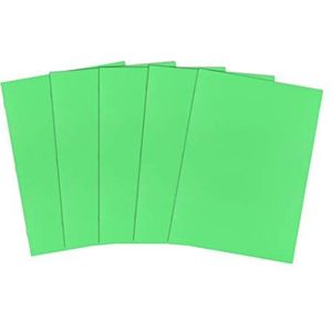 Silvine A3+ plakboeken. 32 verschillende kleurenpagina's van 100 g/m² suikerpapier [Pack van 25]