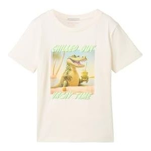 TOM TAILOR T-shirt voor jongens, 12906 - Wool White, 92/98 cm