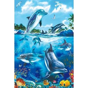Schmidt – 55450 – puzzel – dolfijn – 60 stukjes.