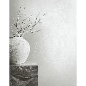 marburg Behang, wit, glanzende betonlook, structuur, moderne industriële look voor woonkamer, slaapkamer, keuken, 10,05 x 0,53 m