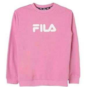 FILA Unisex kinderen Sordal sweatshirt, lila, 170-176