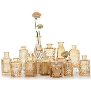 SUPMIND 12 stuks glazen bud vaasset, kleine amberkleurige bloemenvazen voor centerpieces in bulk, mini vintage vaas voor bruiloft, huis, tafeldecoratie