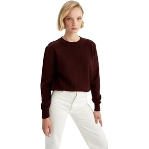 DeFacto Trui normale pasvorm voor dames - coltrui trui voor dames (bruin, S), bruin, S