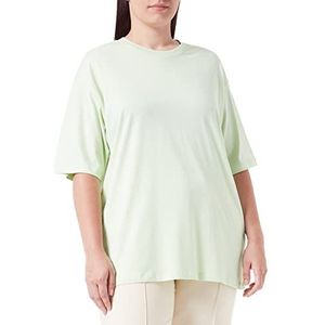 JACK & JONES Dames Jjxx Jxandrea Ss Loose Every Tee Noos T-shirt, groen (Pastel Green), XL