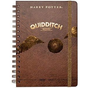 Erik Planner - Schoolplanner Harry Potter Quidditch - kalender weekoverzicht 2020/2021 voor scholieren 12 maanden - agenda