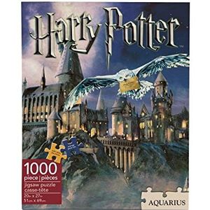 Aquarius Harry Potter Hogwarts Jigsaw Puzzel (nm)