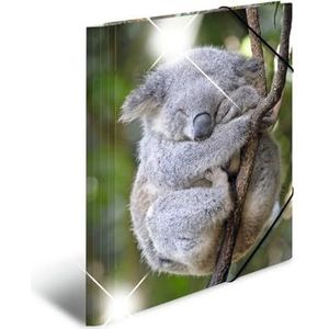 HERMA 19323 Verzamelmap A4 dieren Koala, kinderhoekspanner-map, van kunststof met hoogglans-look, interne print en elastiek, stabiele plastic inslagmap voor jongens en meisjes