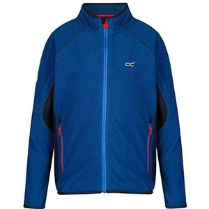 Regatta Pira Volledige Zip Extol Stretch Mini Streep Micro Fleece voor kinderen
