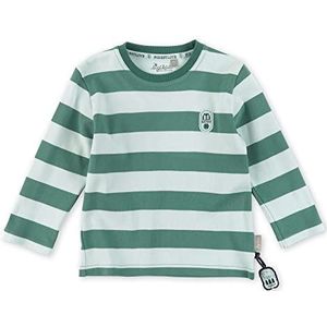 Sigikid Mini shirt met lange mouwen voor jongens van biologisch katoen, groen/gestreept, 128