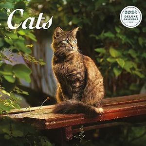Cat Deluxe 2024 Kalender