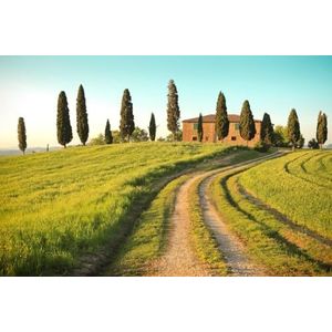 A.S. Création Behang Toscane 3,75 m x 2,50 m - WALLLOVE Behang Veld met bomen in groen, bruin, blauw incl. lijm - DD129579