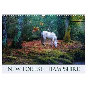 New Forest Hampshire (Wall Calendar 2024 DIN A3 landscape), CALVENDO 12 Month Wall Calendar: The New Forest in Hampshire with its heath and wild ponies is one of the most beautiful areas in England