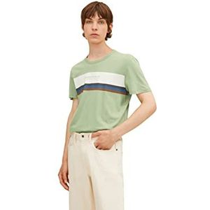 TOM TAILOR Denim Uomini T-shirt met blokstrepen 1033037, 29768 - Cold Green, XS